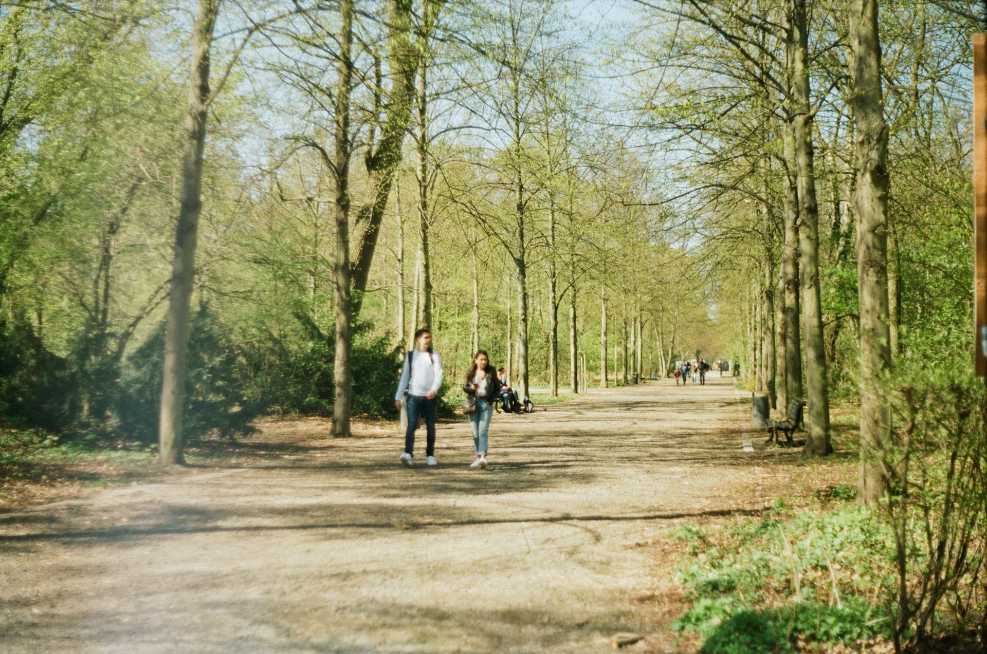 a couple of people walking on a path in a park